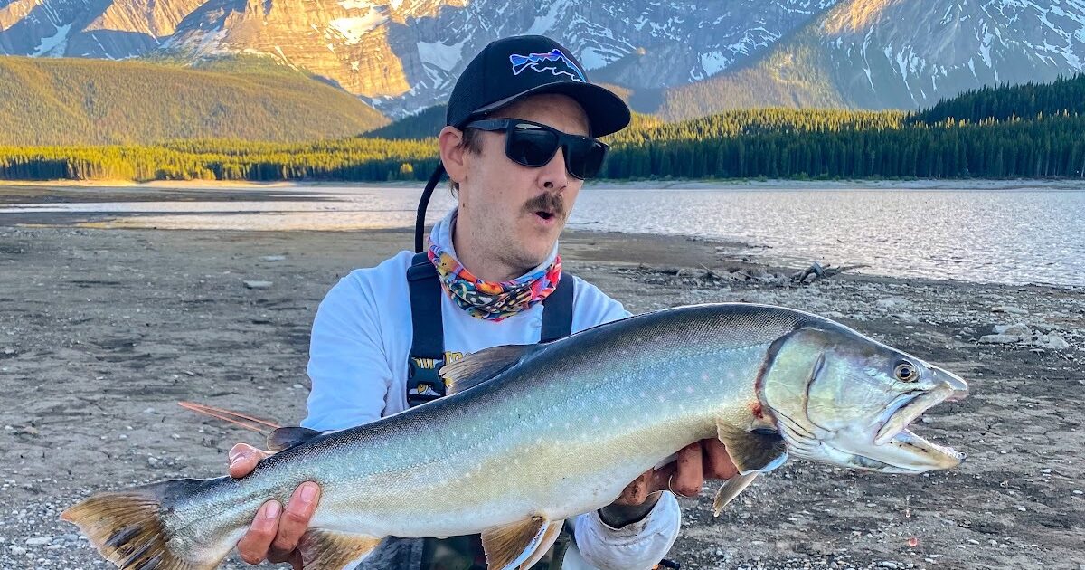 https://canmorealberta.com/assets/images/canmore-stories/13213/_1200x630_crop_center-center_82_none/Optimal-Angling-Bull-Trout-L-Kananaskis-Lake_2022-09-01-231551_wsen.f1662075488.jpg?mtime=1662074151