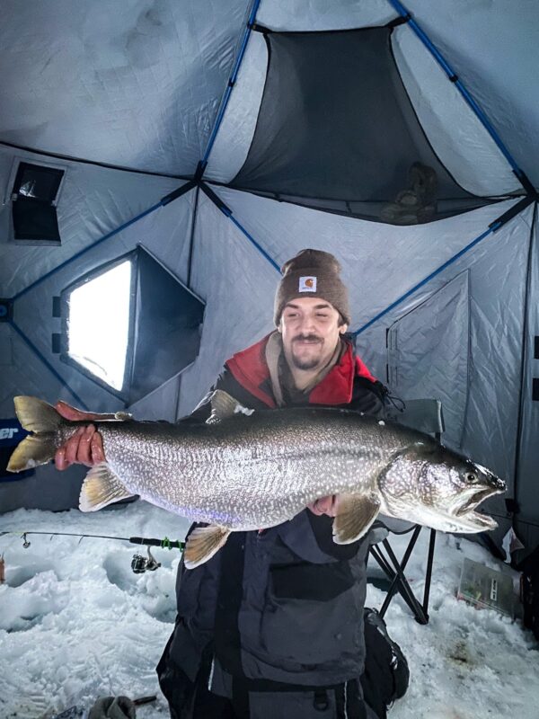 Optimal Lake trout at Spray Lakes Reservoir