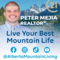 Peter Mejia REALTOR® logo