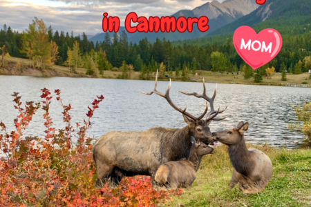 Mother's Day in Canmore