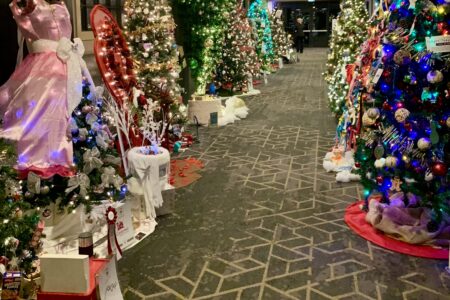 Festival of Trees ~ It's The Most Wonderful Time Of The Year
