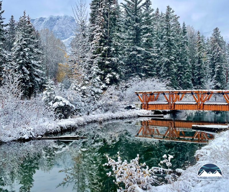 Spring Creek Winter Wonderland with logo