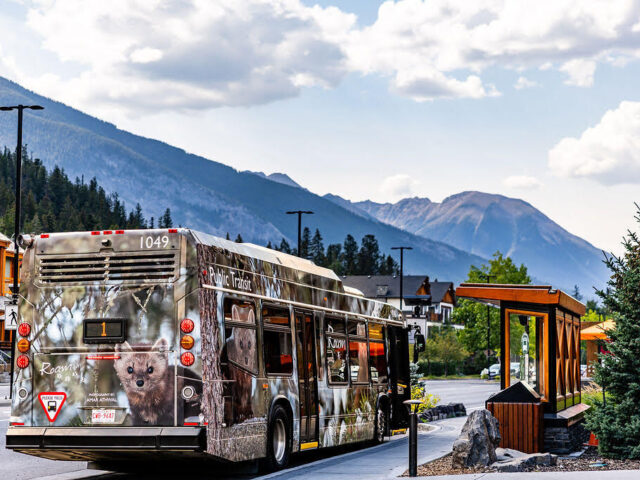 Roam Bus with marmet wrap