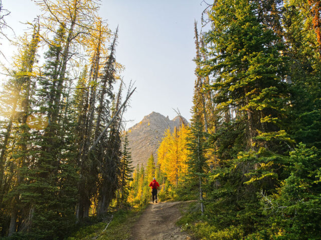 Mount Engadine FALL TENT RIDGE HIKING