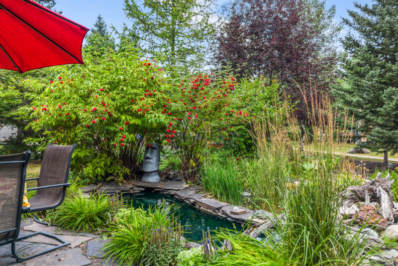 Terri and Marc 160 Carey Garden pond