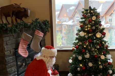 Holidays at The Falcon Crest Lodge