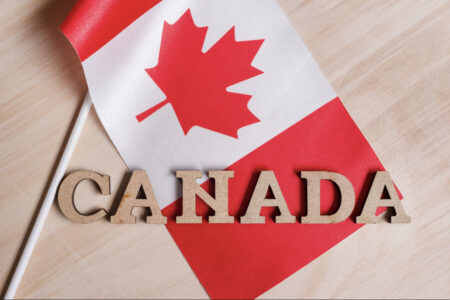 Wild Mountain Immigration: Delivering Professional Canadian Immigration Services