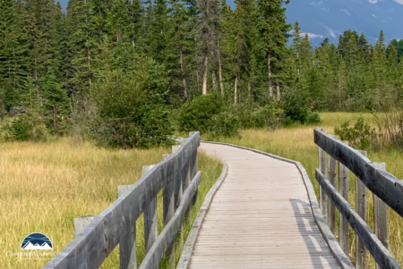 The Boardwalk: An easy 1.3 Km Walking Loop around Policeman's Creek