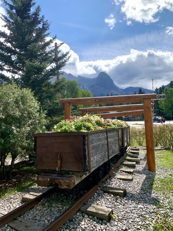 Rail trail train cart mine