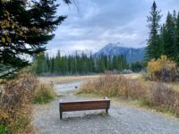 Larch loop bench view 1