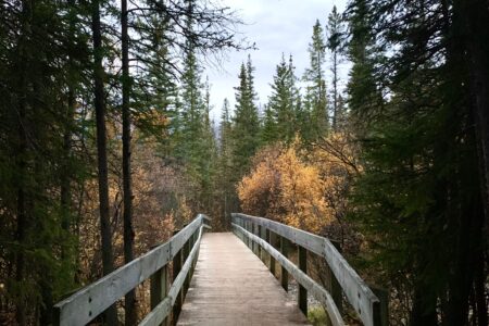Larch Loop: a 5.6 Km Easy Walking Loop from Downtown Canmore