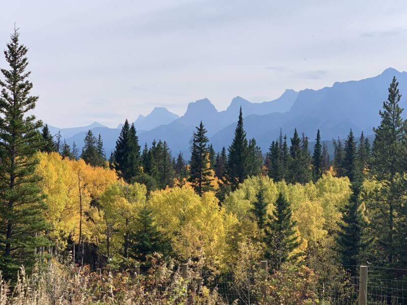 Legacy Trail Fall view mine