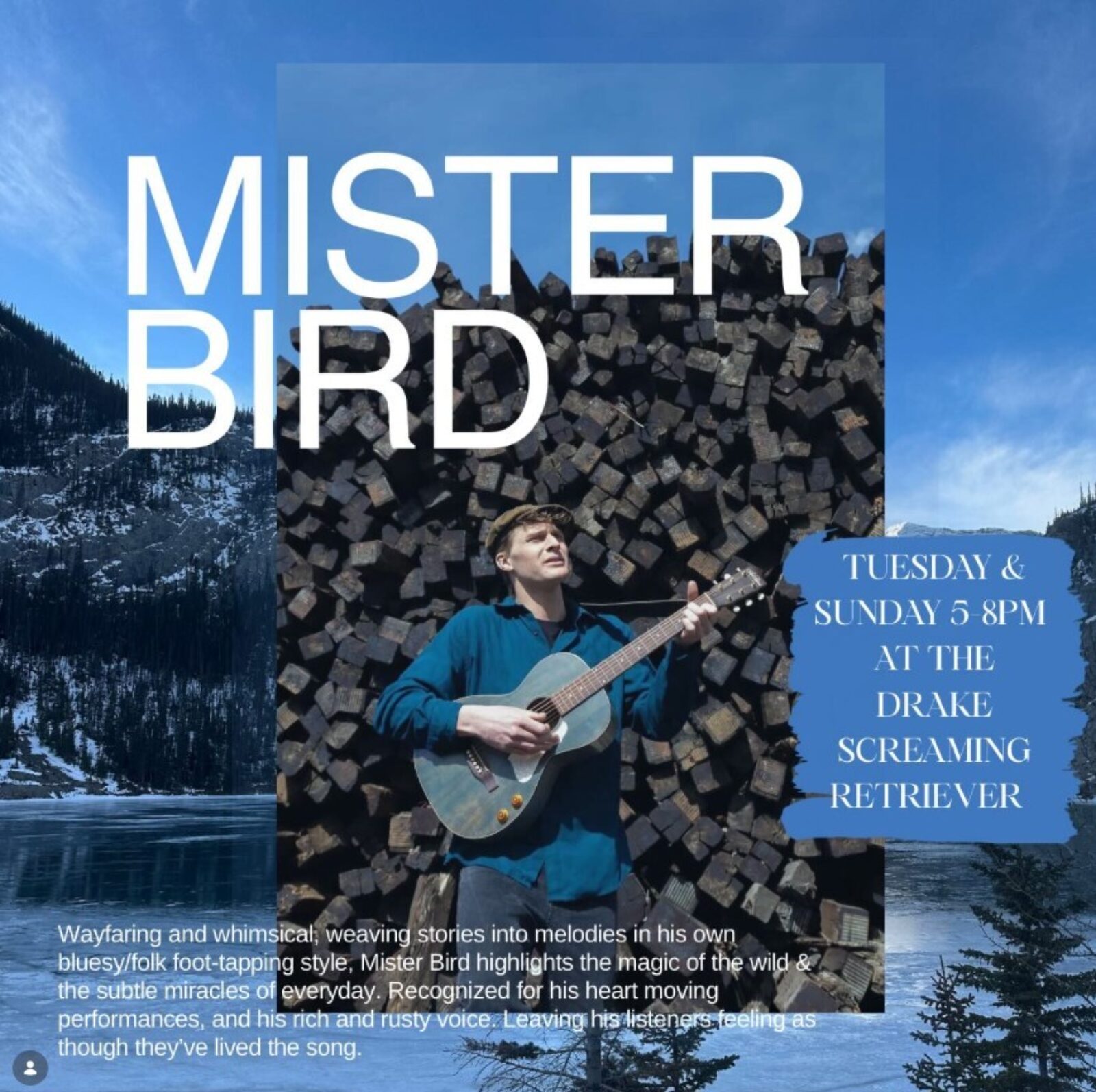 Mister bird drake