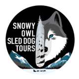 Snowy Owl New Logo Dec2019