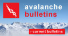 Avalanche Bulletins