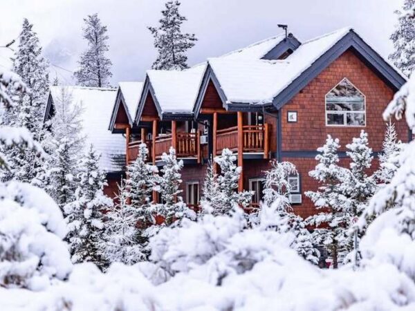 Bear and Bison winter exterior